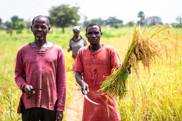 A Farmer Learns New Skills